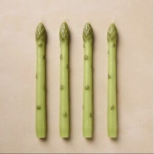 John Derian Company Asparagus Taper Candles Unscented Set of 11 New